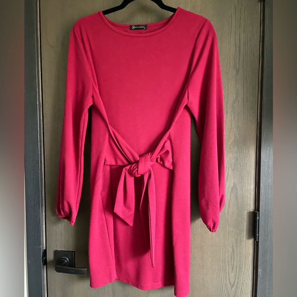 Ruched Tie Waist Mini Dress